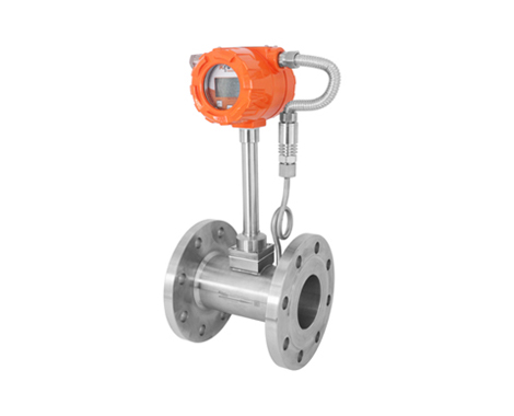 FV10 Series Vortex Flowmeter 