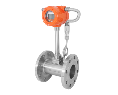 FV10 Series Vortex Flowmeter